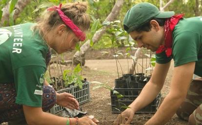 Two teenagers plant seedlings on their volunteer Conservation placement in Costa Rica Projects Abroad volunteers planting seedlings during Conservation volunteering in Costa Rica for teenagers
